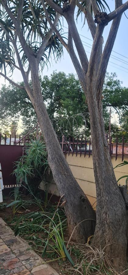 My House Guest House Pretoria Luaran gambar