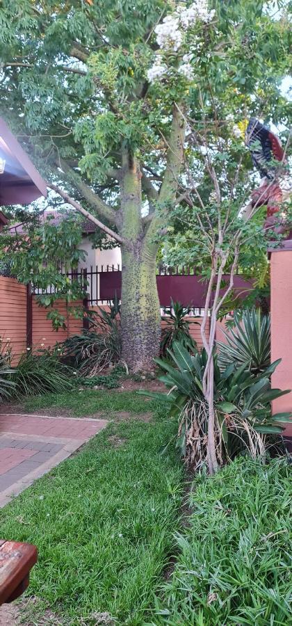 My House Guest House Pretoria Luaran gambar