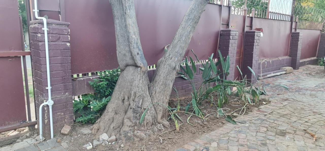 My House Guest House Pretoria Luaran gambar